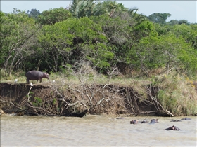 Hluhluwe River